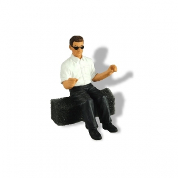 500076 - train driver with sunglasses - sitting