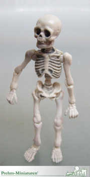 550207 -  Skelett - Mensch
