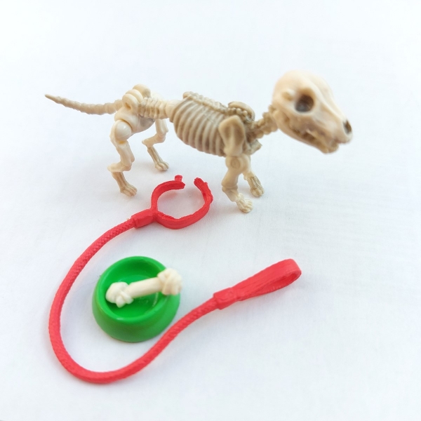 550208A - Skeletal dog